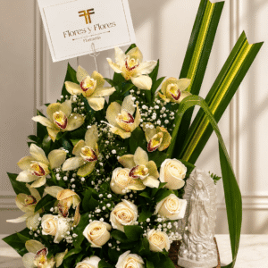 Fúnebre Orquideas Marmolina