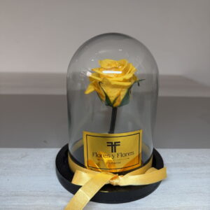 ROSA PRESERVADA MINI AMARILLA