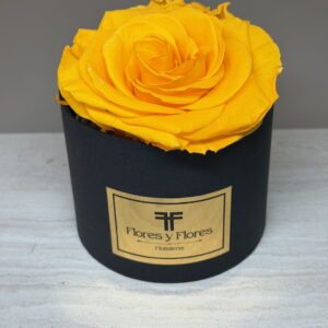 ROSA PRESERVADA PRIMAVERA